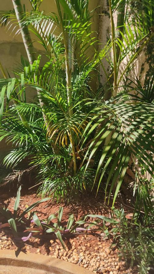 Holiday home Capim Santo Goiania